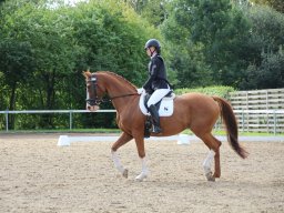 IMG_1119_web